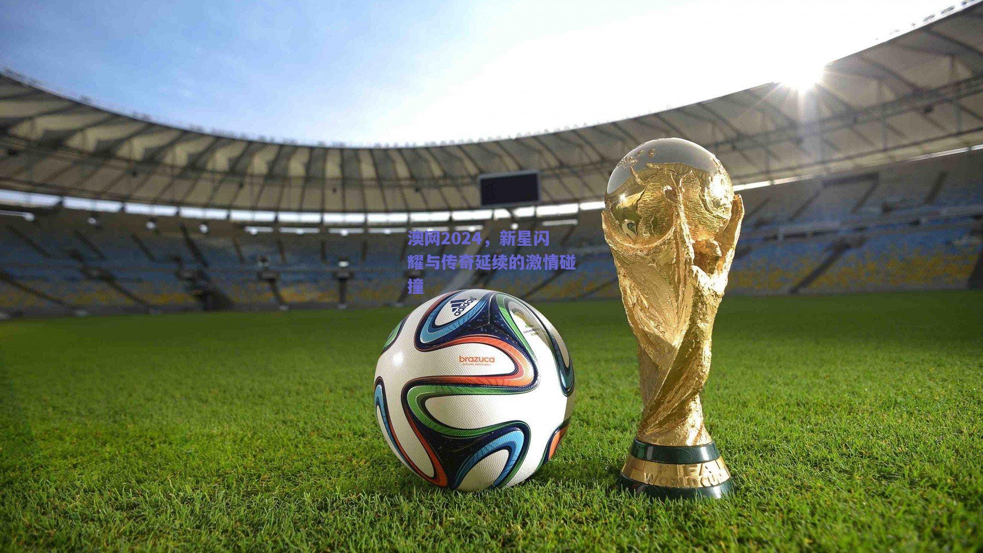 竞技宝平台_澳网2024，新星闪耀与传奇延续的激情碰撞